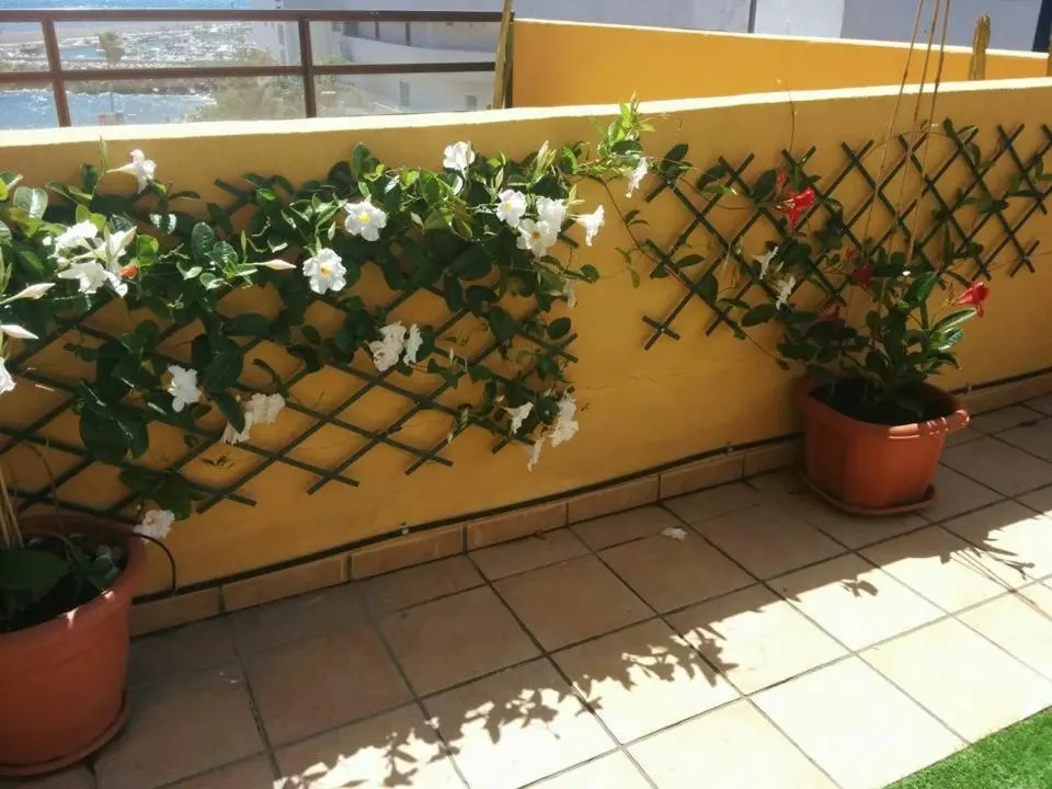 431 - Edif Aguamarina - Vacation Rental Home in the coast line of Golf del Sur