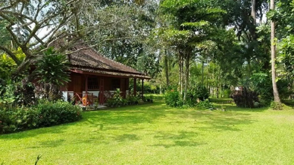 The Satwa Elephant Ecolodge
