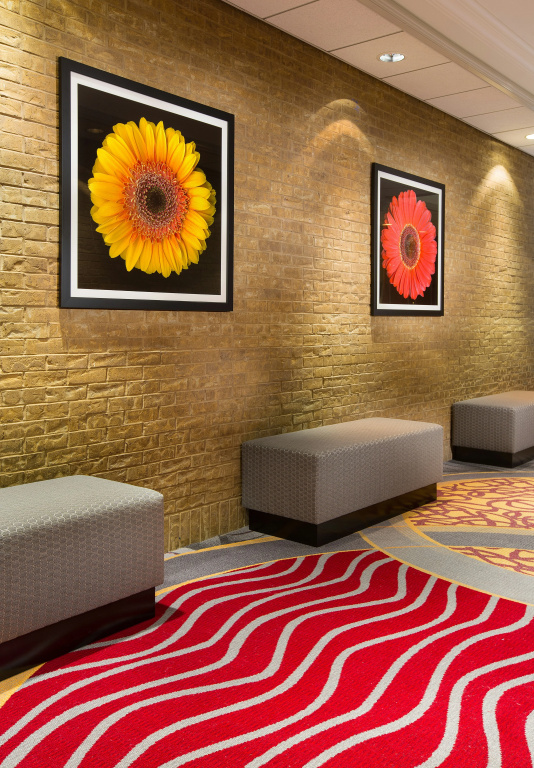 Hilton Chicago/Northbrook - Général