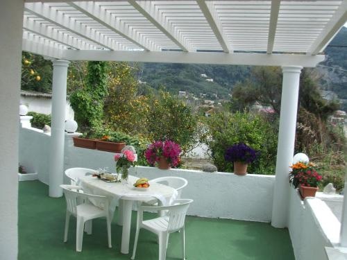 Balcony & Terrace
