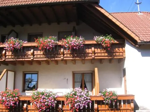 Gasthaus Zum Hirschen - Général