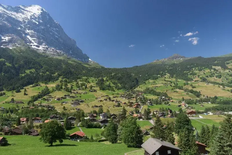 Jungfrau Lodge, Swiss Mountain Hotel - Chambres