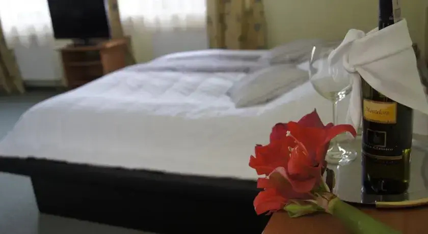 Jedlina Hotel - Général
