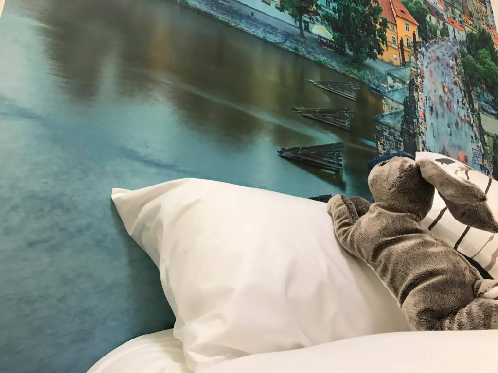 Hotel photo 8