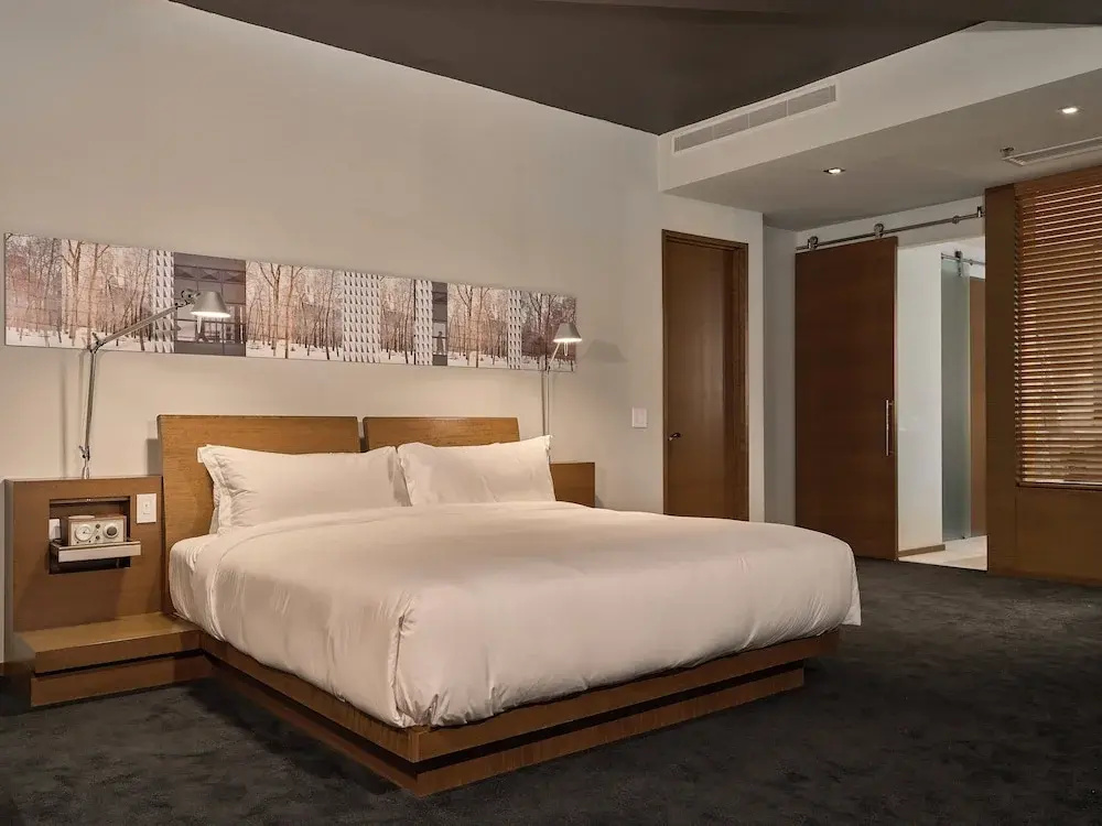 Standard Double room (full double bed)