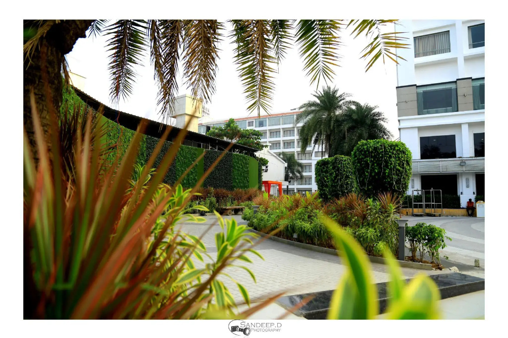 Hotel photo 10