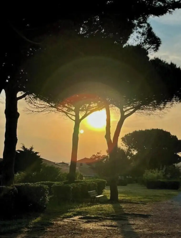 Voir la photo 3 — South of France Modern Retreat