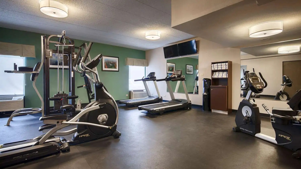 Best Western O'Hare/Elk Grove Hotel - Général