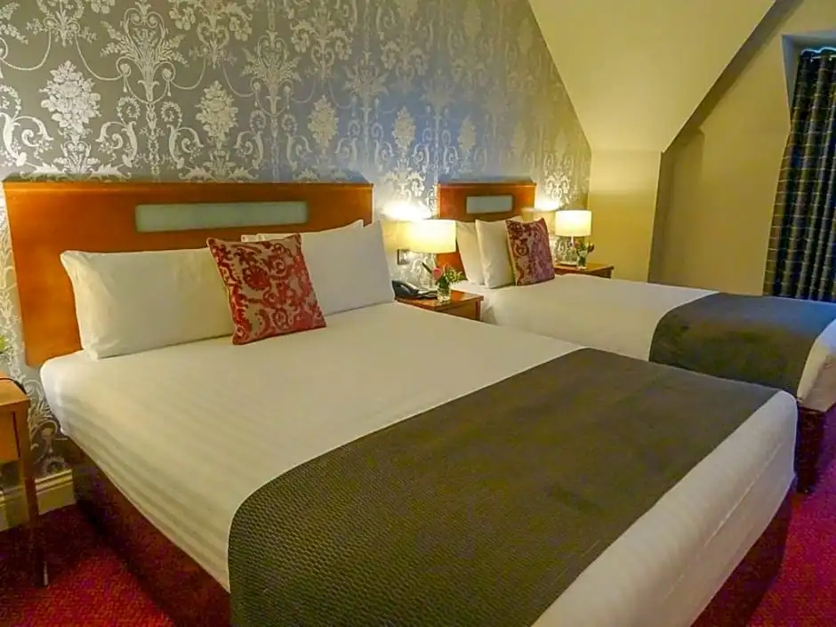 Raheen Woods Hotel - Chambres