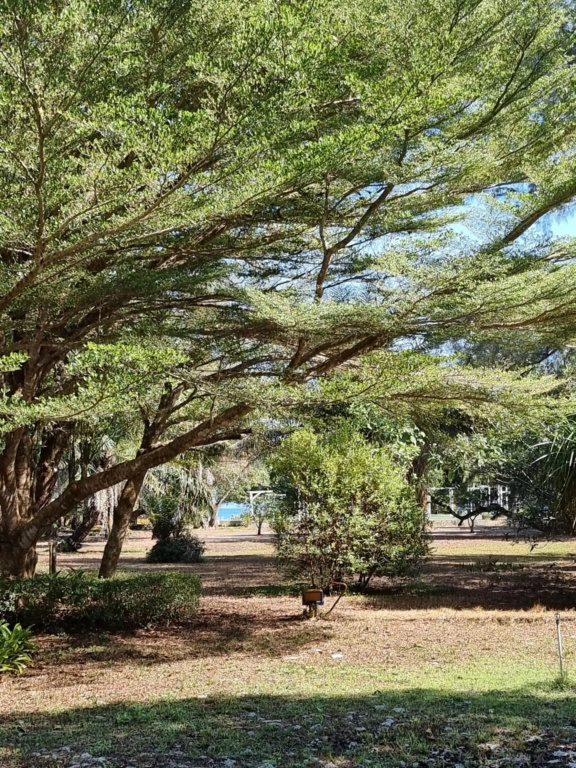 Payam Cottage Resort - фото 14