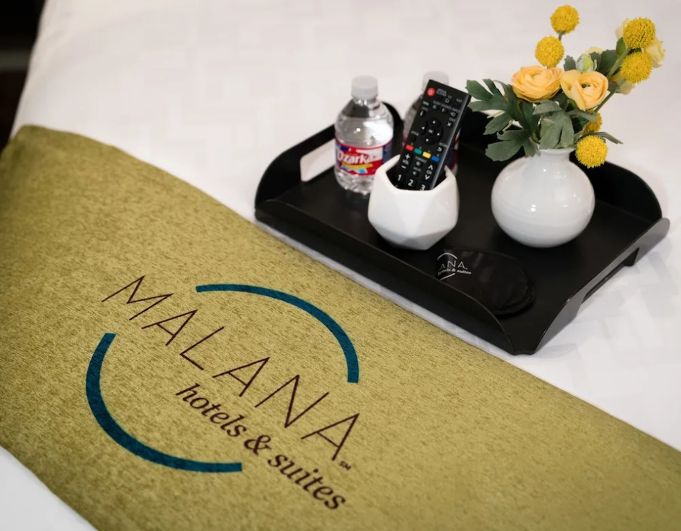 Malana Hotels & Suites - Chambres