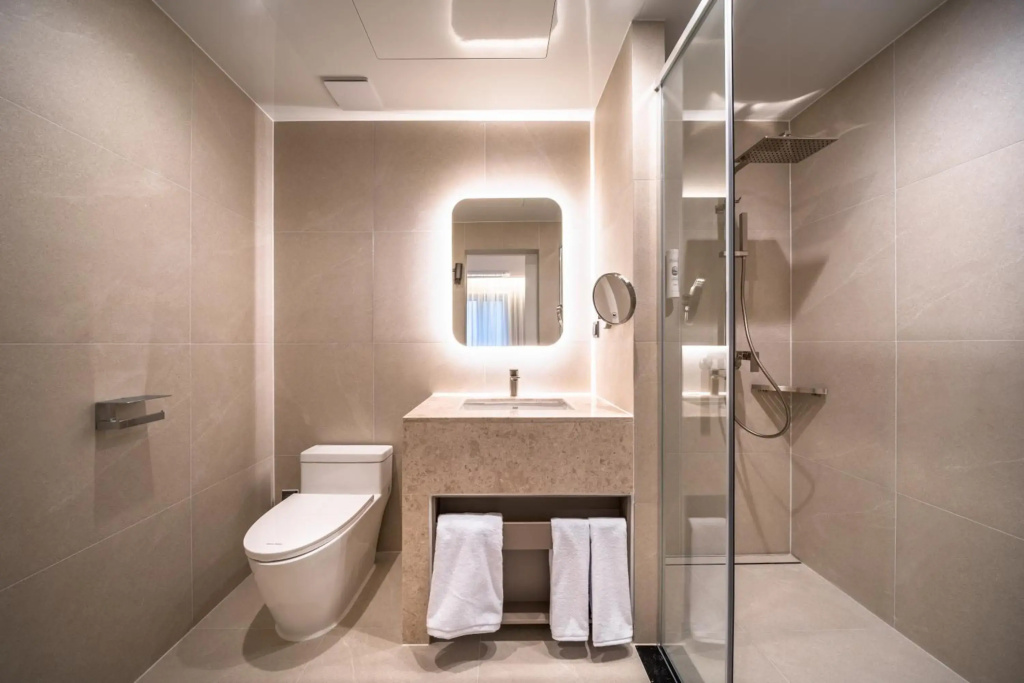 Comfort Inn Yeouido - Général
