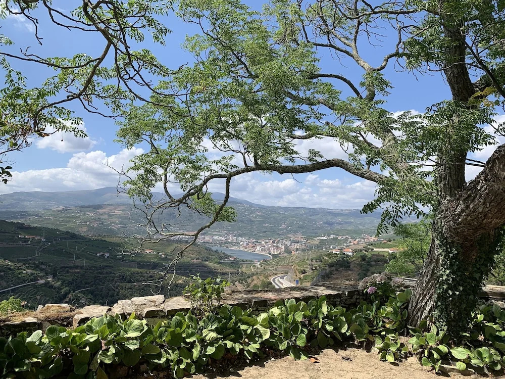 Quinta do Valdalágea - 2