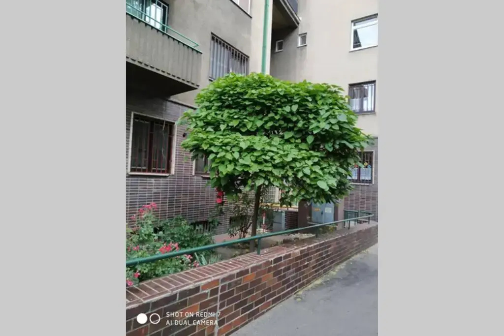 A Cozy Studio in the City Centre