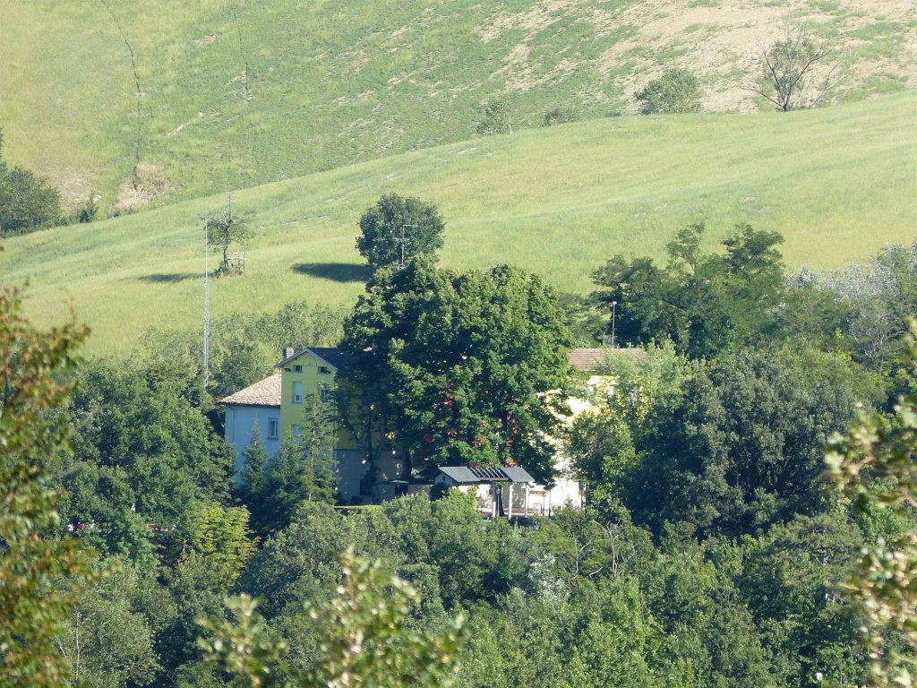 Park Hotel Fantoni - Général