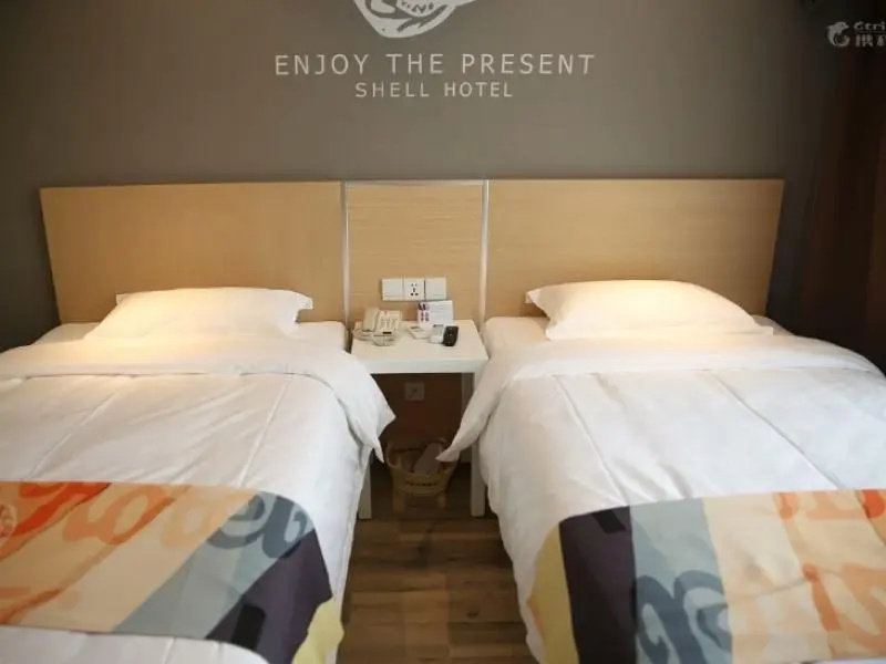 Standard Double room (twin beds)