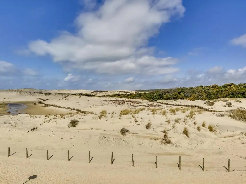 Afficher la photo 6 — Maison Biscarrosse Plage, 2 pièces, 3 personnes - FR-1-521-82