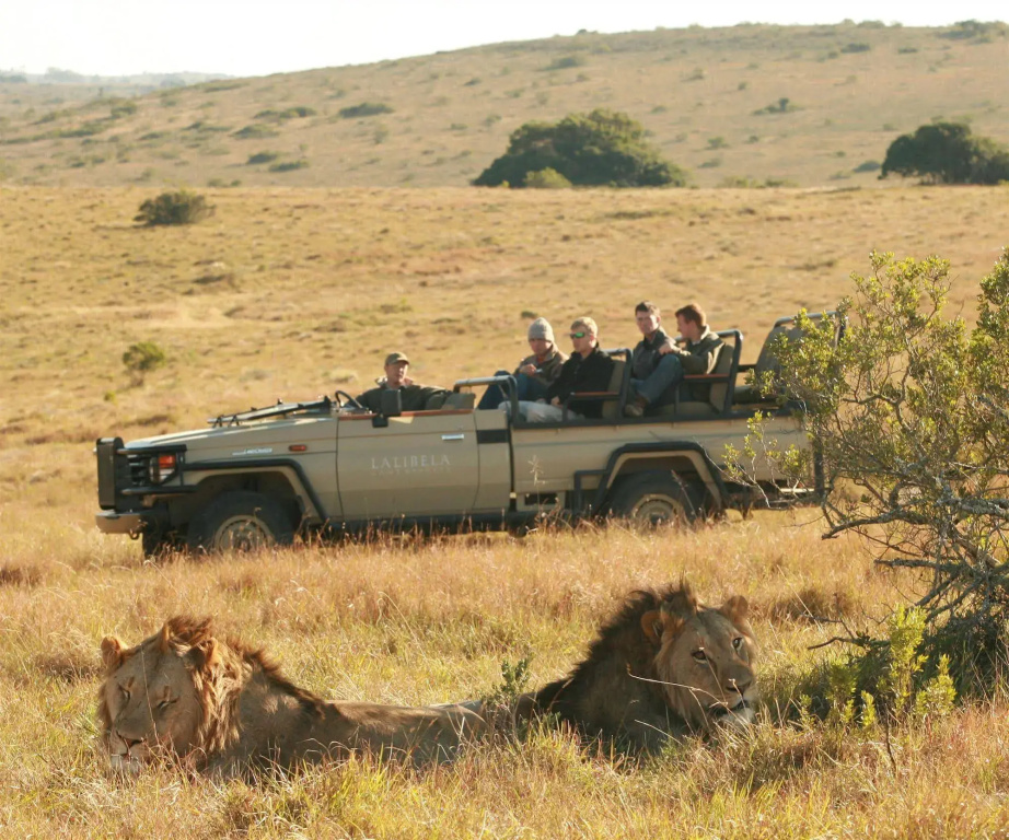 Lalibela Game Reserve