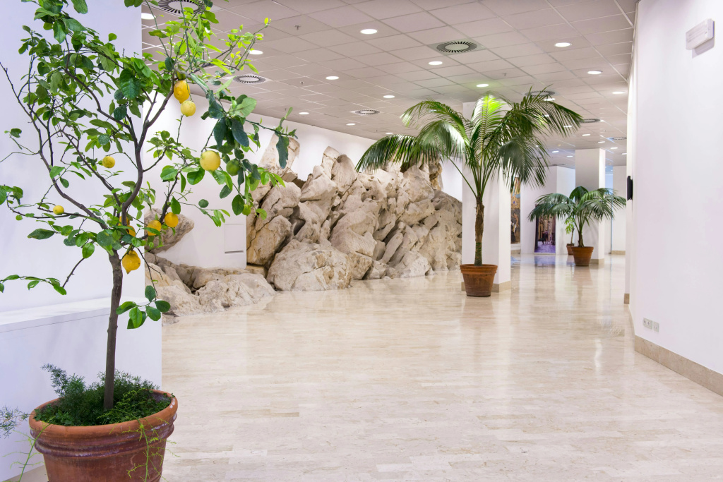 Hilton Sorrento Palace - Général