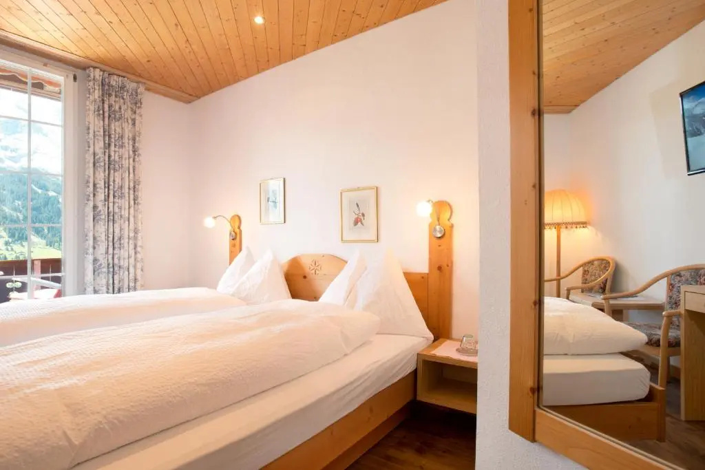 Standard Double room with mountain view (twin beds)