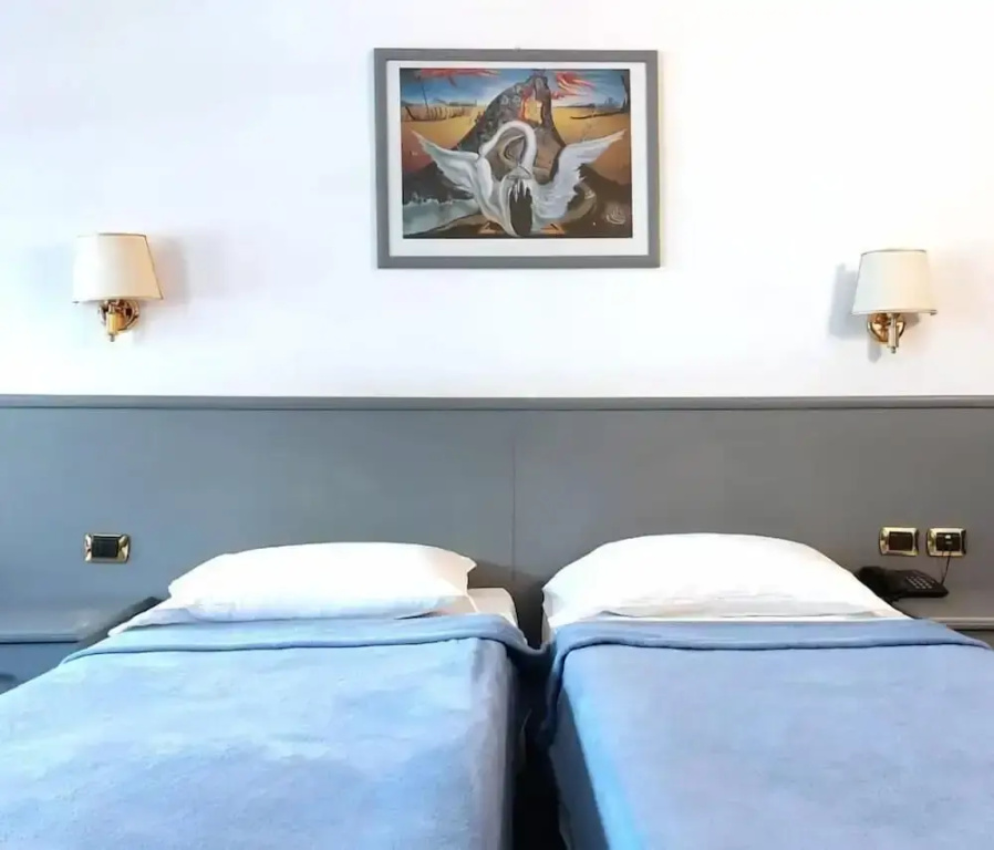 Standard Double room (twin beds)
