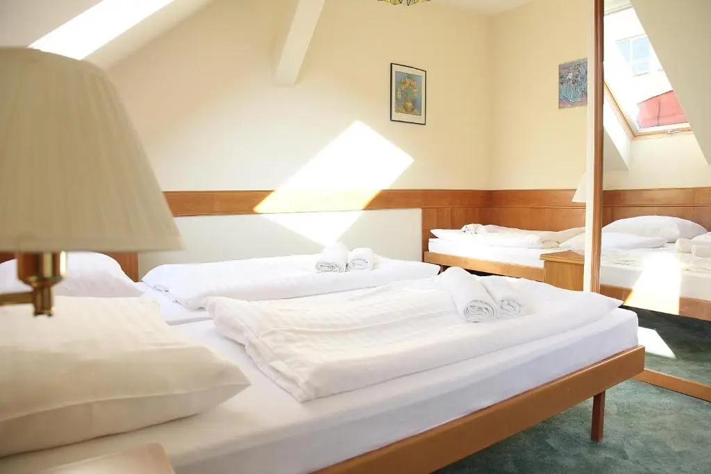Hotel Corvinus - Chambres