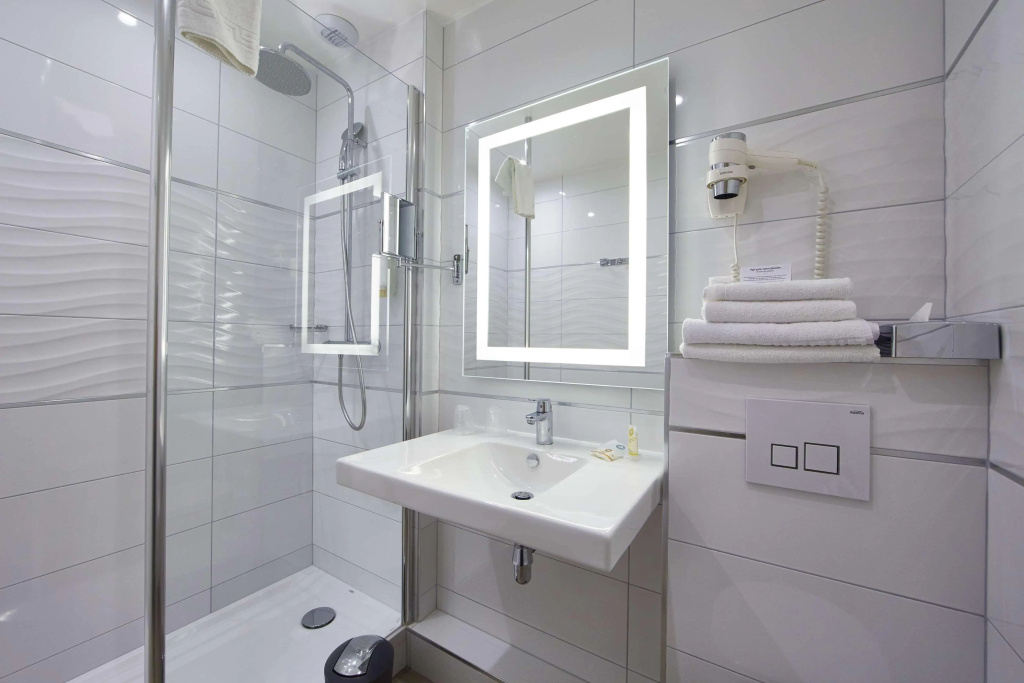 Best Western Plus Au Cheval Blanc Mulhouse Nord - Général