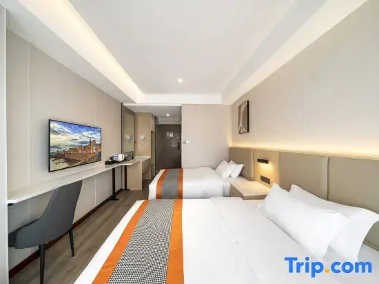 Standard Double room with city view (twin beds)