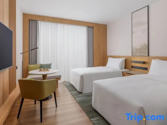 Comfort Double room (twin beds)