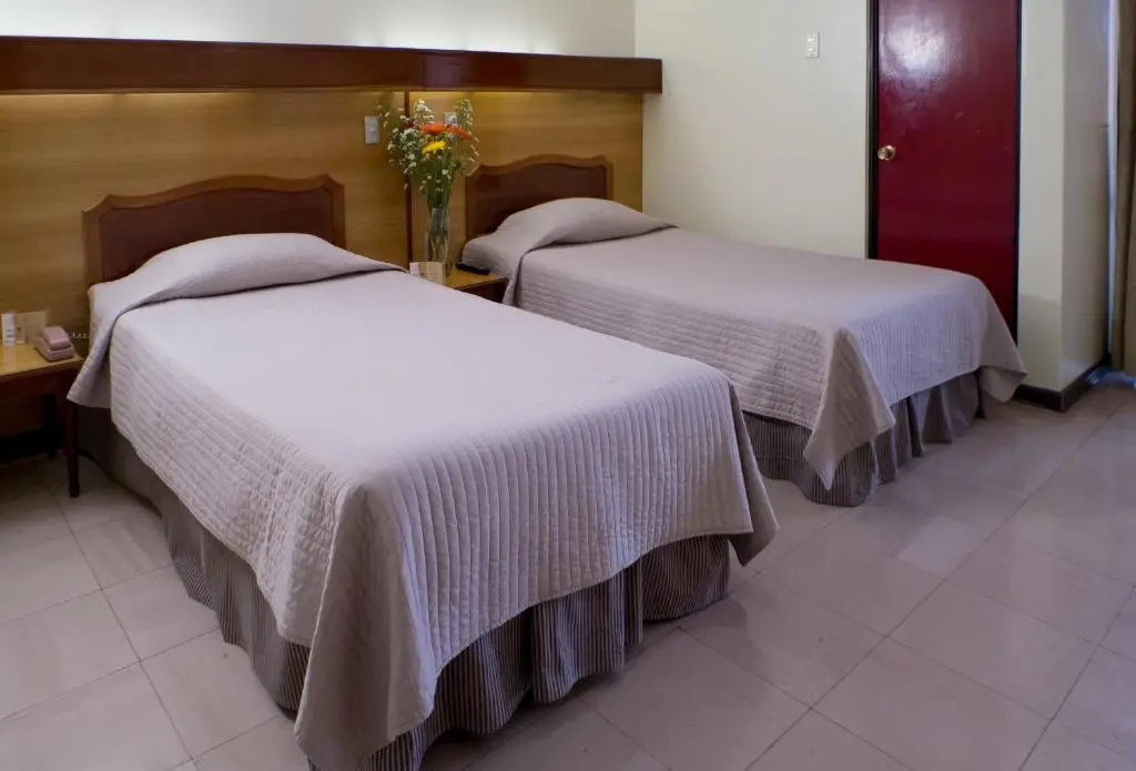Standard Double room (twin beds)