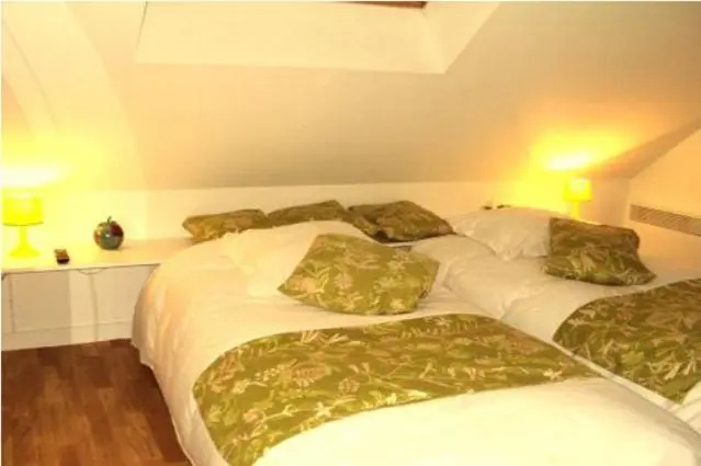Standard Double room (twin beds)