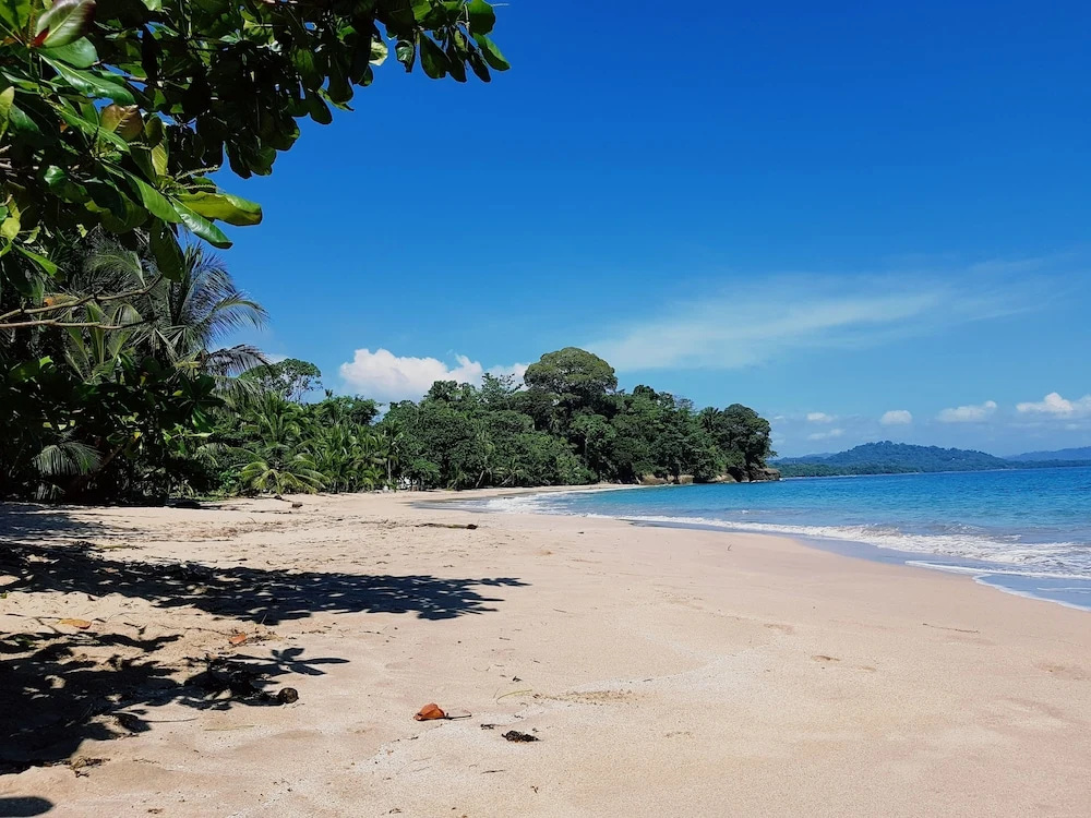 Beach & Waterfront