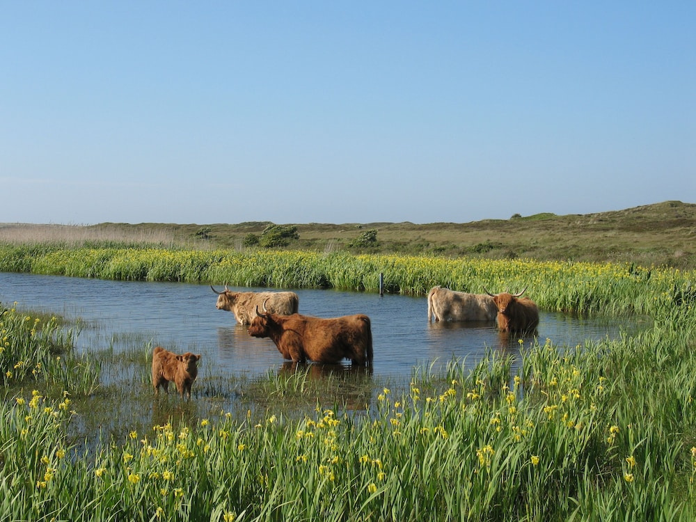 Vakantiepark De Krim Texel