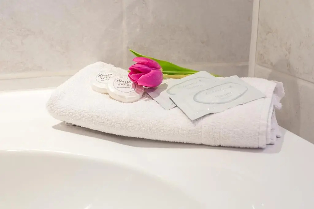 Hotel Dzingel - Chambres