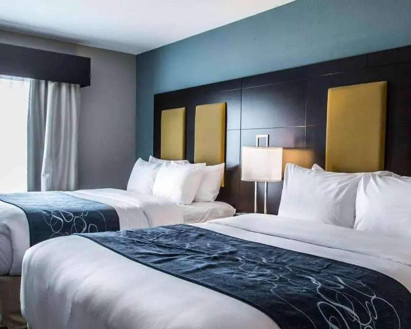 Comfort Suites Fort Lauderdale Airport South & Cruise Port - Chambres