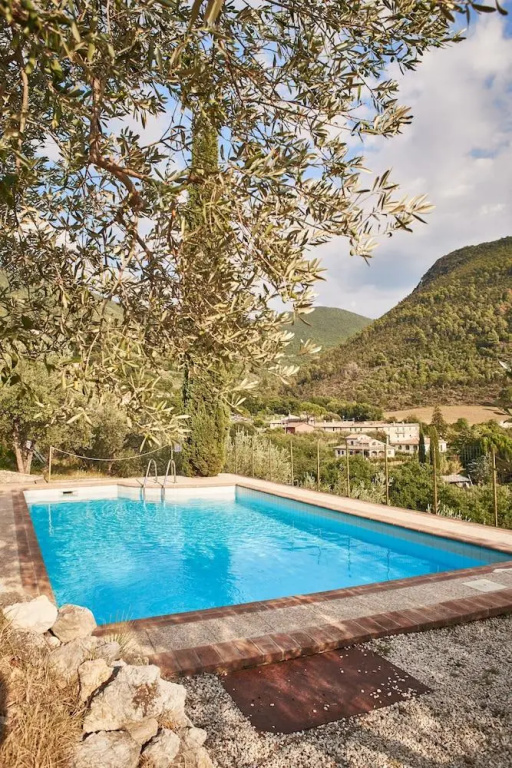 Agriturismo L'Ulivo