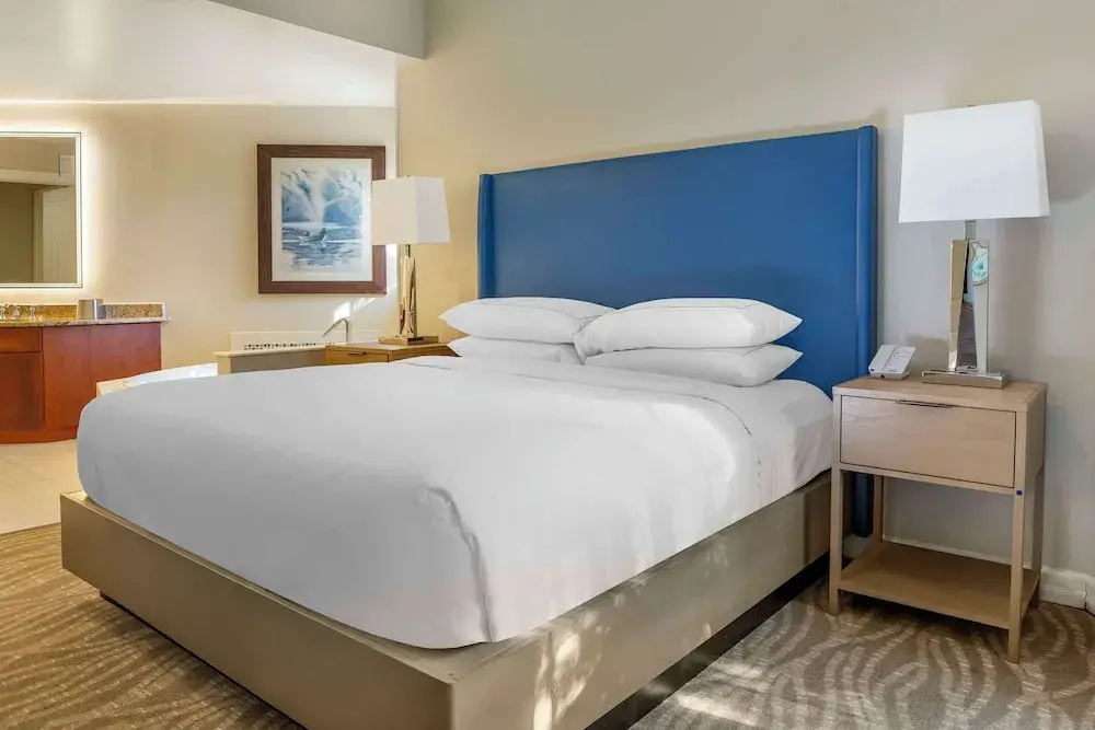 Hilton Grand Vacations Club SeaWorld® Orlando - Chambres