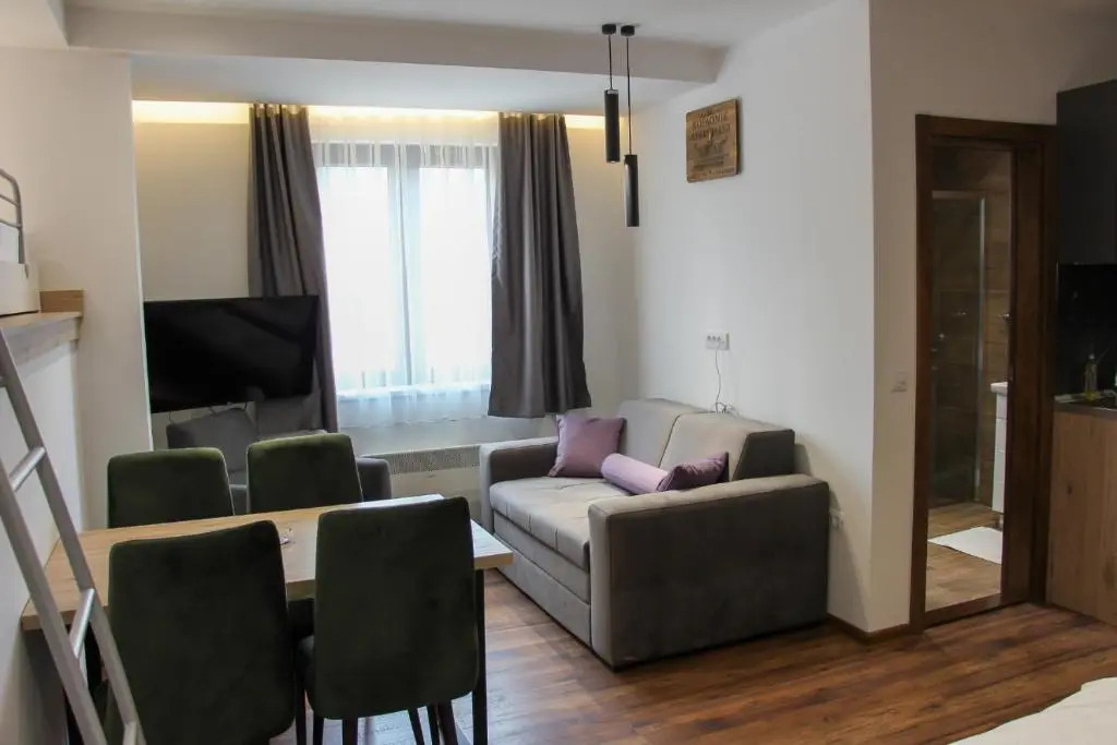 Отель Apartmani Sorak Kopaonik, hotel Aris, Apartman A10, фото 1