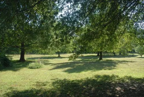 River Valley Rentals