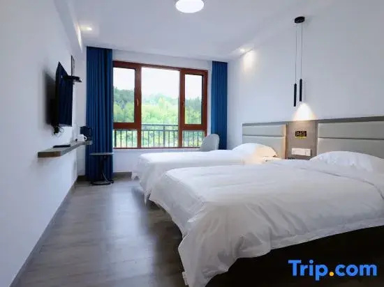 Standard Double room with mountain view (full double bed)