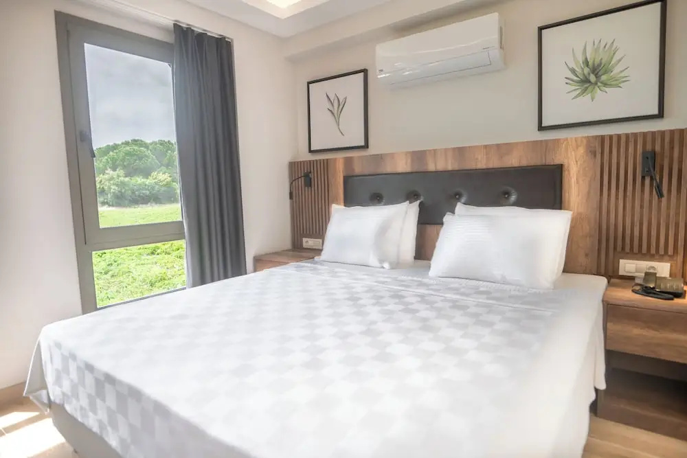 Deluxe Suite with balcony and with sea view