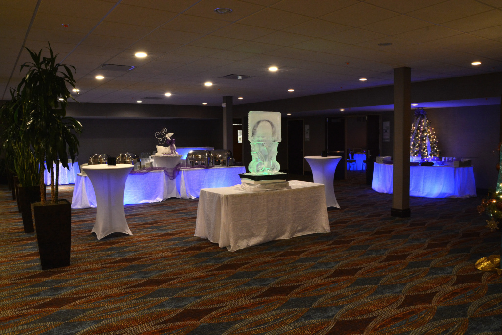 Holiday Inn Canton (Belden Village) by IHG - Général