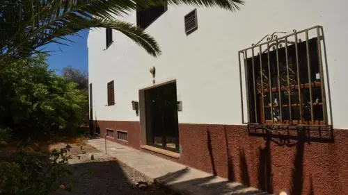 El Bajio Nr 7