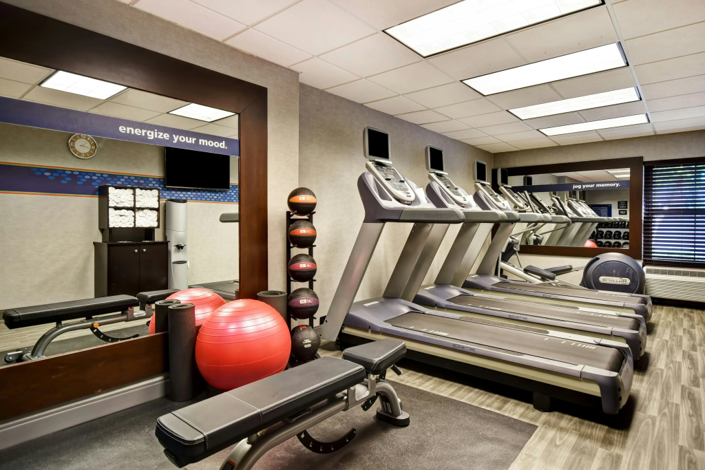 Hampton Inn Atlanta-Mall Of Georgia - Général