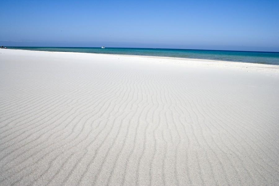 Beach & Waterfront