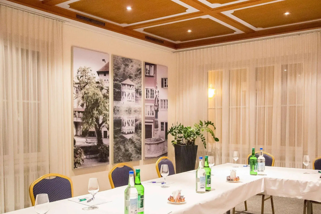 Hotel Lenzburg - Général