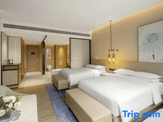 Superior Double room with garden view (twin beds)