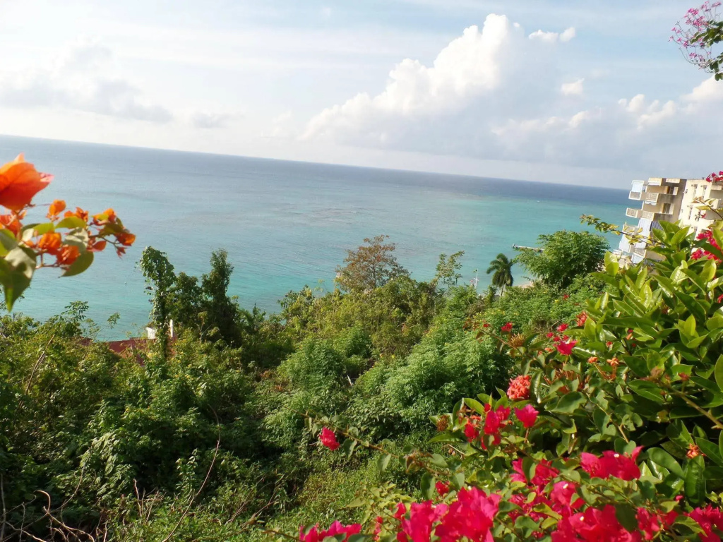 Court Manor at Montego Bay Club - Général