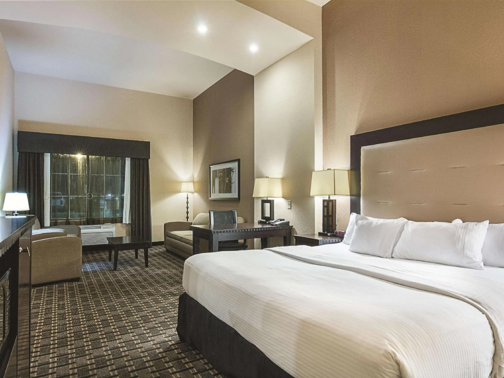 La Quinta Inn & Suites by Wyndham Mt. Pleasant - Chambres