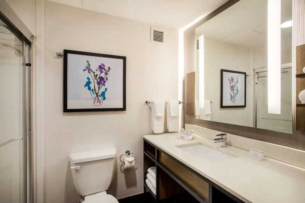 Hilton Garden Inn Nashville/Smyrna - Général